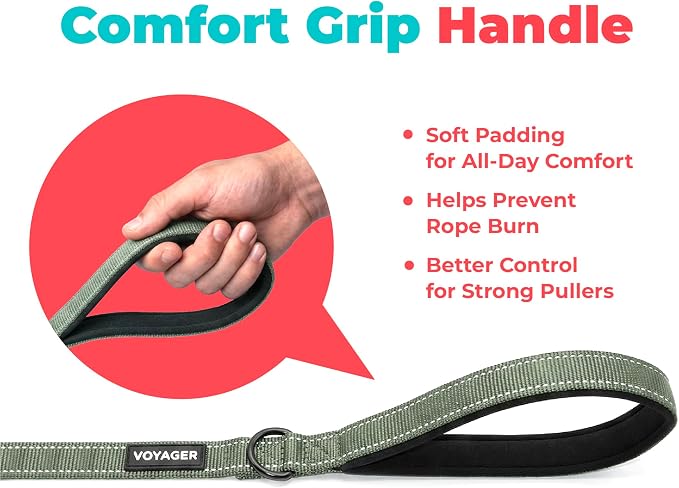 Best Pet Supplies Voyager Nylon Dog Leash - Moss Green, Medium | 5ft in Length, 3/4" in Width, Reflective, Soft Neoprene Handle, Heavy Duty Metal Clips for Running, Walking & Training - Image 5