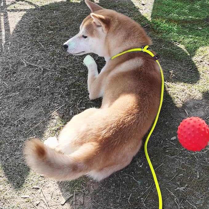 MayPaw Slip Lead Control Leash for Dogs No Pull 7 FT Pet Slip Leash, 1/4 in | 13+ Colors Classic Dog Lead Rope Leashes for Small Medium Animals (7ft*1/4", Yellow) - Image 6
