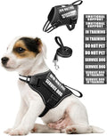 Service Dog Vest Harness and Leash Set+10 Patches for Puppy Small Dogs,Do Not Pet Emotional Support Dog Vest with 2 Soft Padded Handle for Everyday/Training (Black XS) | Adjustable Reflective Do Not Pet Emotional Support Dog Vest with 2 Soft Padded Han... by MOOGROUPETSFRIEND