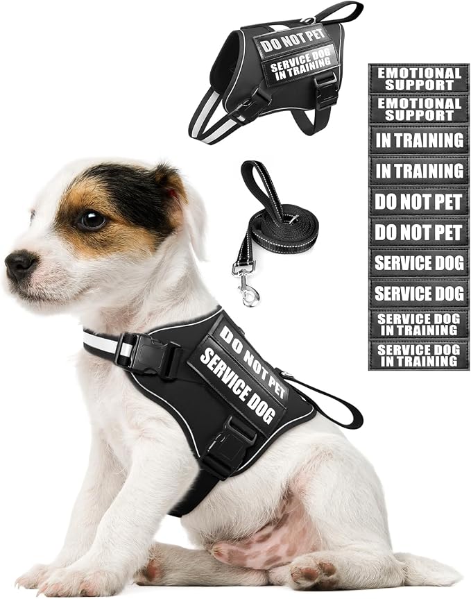 Service Dog Vest Harness and Leash Set+10 Patches for Puppy Small Dogs,Do Not Pet Emotional Support Dog Vest with 2 Soft Padded Handle for Everyday/Training (Black XS) | Adjustable Reflective Do Not Pet Emotional Support Dog Vest with 2 Soft Padded Han... by MOOGROUPETSFRIEND