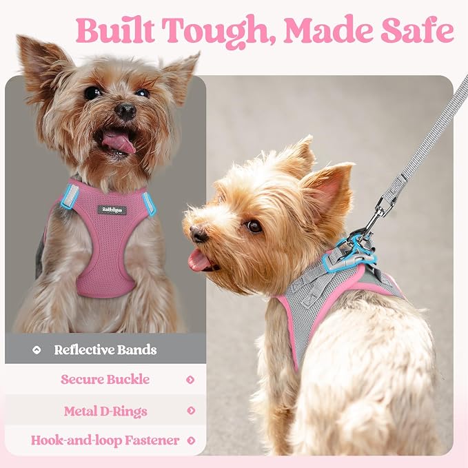 rabbitgoo Dog Harness Small Sized and Leash Set, Step-in Puppy Pet Vest | Light, Soft, Breathable Air Mesh, Easy on and Remove with Hook & Loop, Secure Reflective for Walking, Light Pink & Gray XXS - Image 7