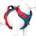 No Pull Dog Harness, Unique Colors Reflective Adjustable Dog Vest | with Soft Training Handle Metal Clips for Small Medium Large Dogs (Teal Base & Red Straps,M) by PHOEPET