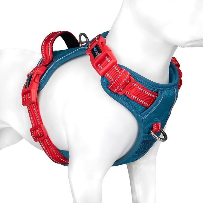No Pull Dog Harness, Unique Colors Reflective Adjustable Dog Vest | with Soft Training Handle Metal Clips for Small Medium Large Dogs (Teal Base & Red Straps,L) by PHOEPET