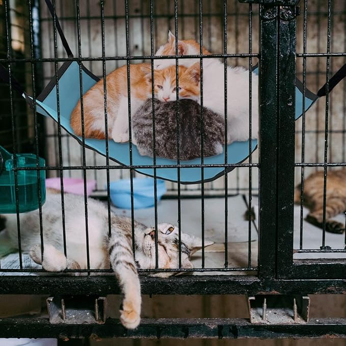 Cat Hammock for Cage Hanging，Breathable Coolness Hammock Bed for cat Small Animal - Image 4