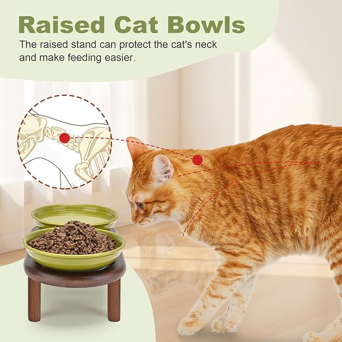 SPUNKYJUNKY Shallow Elevated Cat Bowl with Acacia Wood Stand Wide Raised Ceramic Cat Dishes Whisker Friendly Pet Food and Water Plates (Striped Pattern, Green) - Image 3