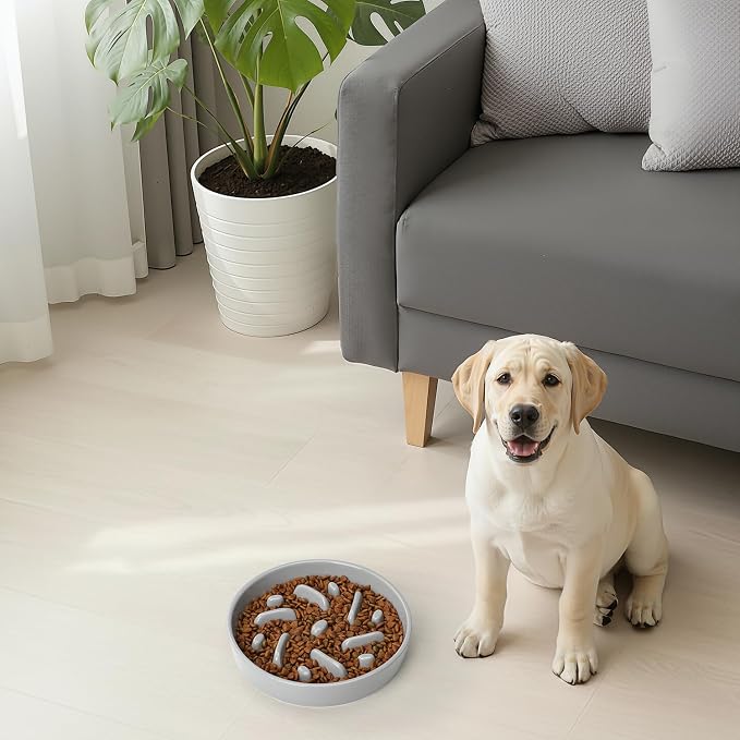 Ceramic Slow Feeder Dog Bowl, 2 Cups Maze Puzzle Dish to Slow Down Eating | Premium Ceramic Material with Anti-Slip Design, Suitable for Small, Medium and Large Breed Dogs Daily Feeding - Image 8