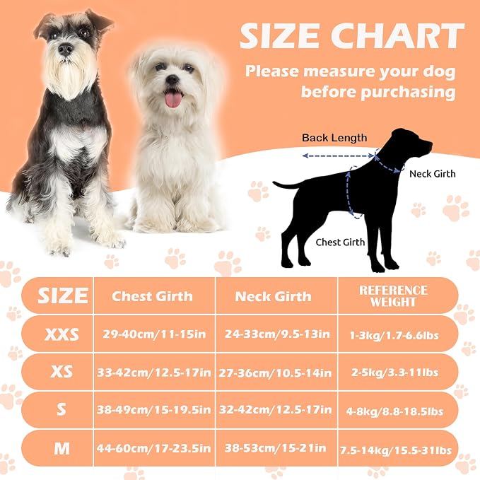 No Pull Dog Harness Adjustable Small Dog Harness and Leash Set, Lightweight and Soft Dog Harness No Choke Escape Proof Pet Harness Vest (Purple Daisy, S) - Image 5