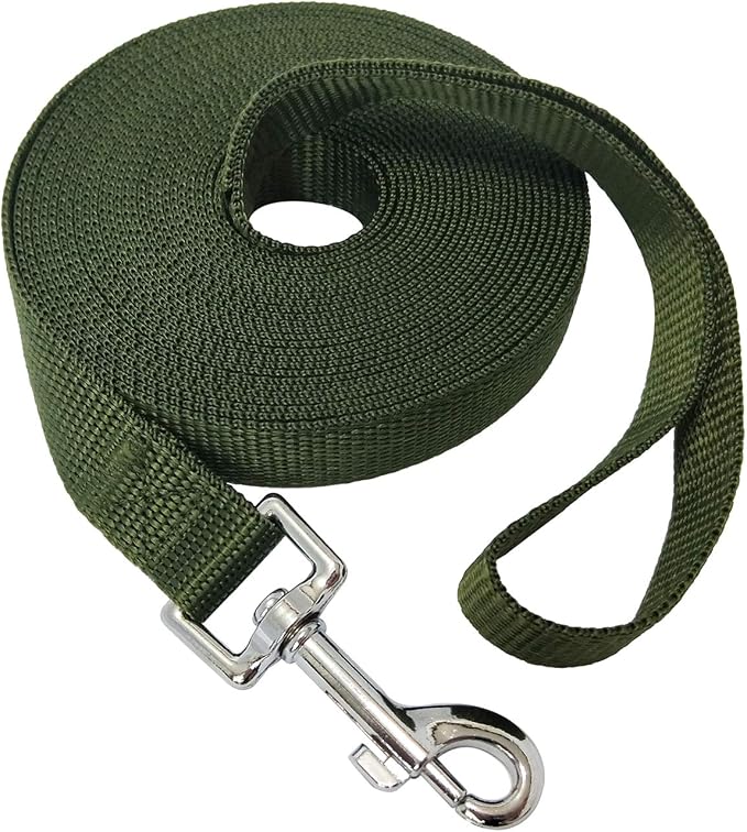 Nylon Training Dog Leash for Small Medium Large Dogs, 15ft 20ft 30ft 50ft Long Leash Dog/Puppy Lead for Obedience Recall Training, Camping (1" x 20ft, Green) by MANDAO