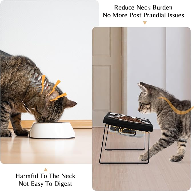 Elevated Cat Food Bowl for Indoor Cat, Black Raised Water Bowl Set for Pet | Whisker Friendly, Anti Vomit, Feeding Station for Puppy, Stainless Steel, Pet Dish, Easy Assembly, Bamboo, Dishwashers Safe - Image 2