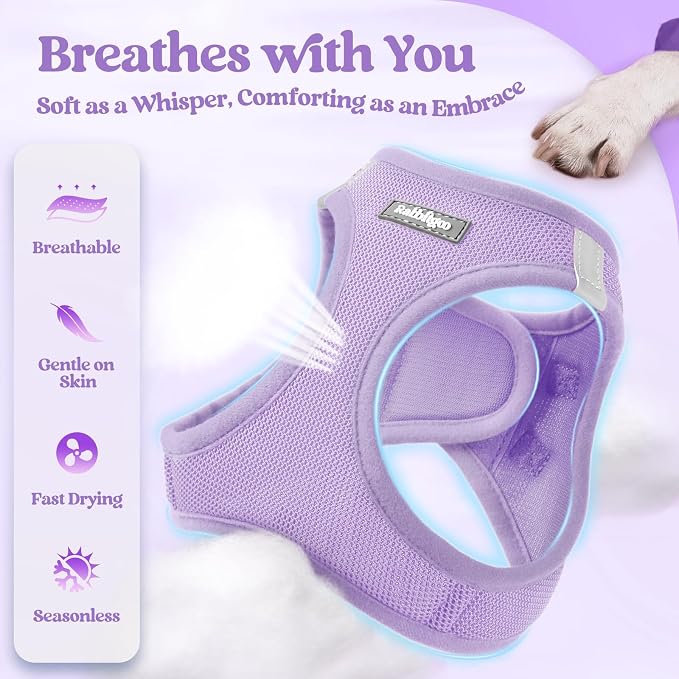 rabbitgoo Dog Harness Medium Sized and Leash Set, Step-in Puppy Pet Vest | Light, Soft, Breathable Air Mesh, Easy on and Remove with Hook & Loop, Secure Reflective for Walking, Light Purple XXL - Image 4