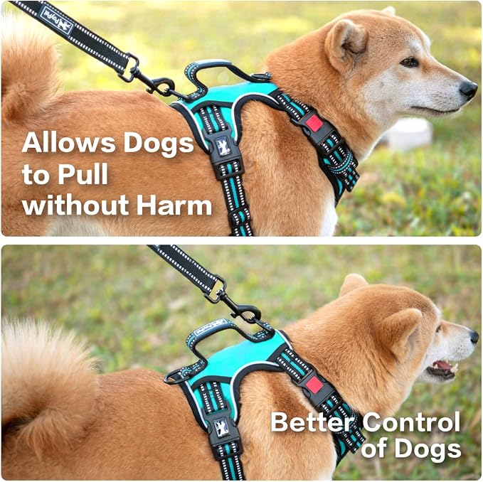 PoyPet No Pull Dog Harness with 3 Leash Clips and Vertical Handle | No Choke, Reflective, Adjustable, Soft Padded, Dog Vest for Large Dogs, Walking Training, Mint Blue, L - Image 4
