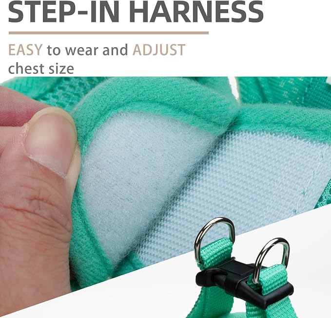 PUPTECK Dog Harness, Collar and Leash Set No Pull for Small Medium Sized | Soft Mesh Puppy Step-in Escape Proof Reflective No Choke Pet Cat Adjustable Walking Vest - Image 3