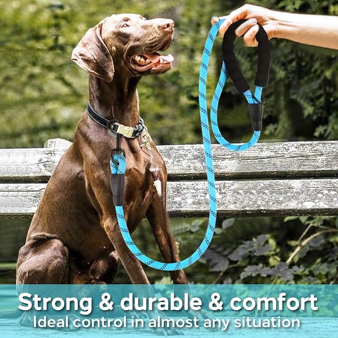 COOYOO Dog Leash 6 FT Heavy Duty - Comfortable Padded Handle - 1/2 inch Reflective Dog Leash for Medium Large Dogs with Poo Bag Dispenser - Image 2