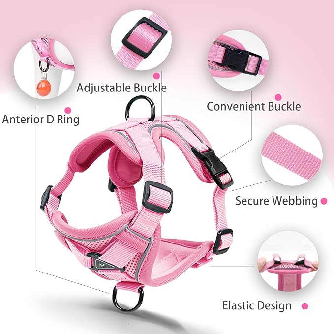 Dog Harness Small Sized Dog Pet Vest with Leash Set Pink M | Adjustable Puppy Vest Harness, No Choke No Pull, Soft Padded, Step-in Dog Vest, Reflective Cat Harness, Breathable Air Mesh - Image 3