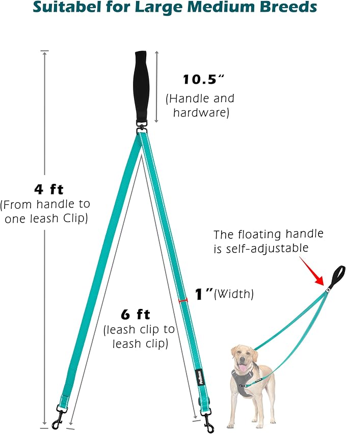 PetBonus Two Point Control Dog Leash, No Tangle Training Walking Leashes | Soft Padded Handle, Reflective, Works with No Pull Harnesses, Converts to Single Lead for Medium Large Dogs, Turquoise - Image 4