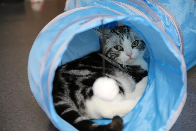 PetLike S Way Cat Tunnel Collapsible Pop-up Pet Tube Hideaway Play Toy with Ball (S-Way, Blue) - Image 2