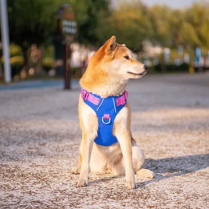 No Pull Dog Harness, Unique Colors Reflective Adjustable Dog Vest | with Soft Training Handle Metal Clips for Small Medium Large Dogs (Royal Blue Base & Pink Straps,XL) - Image 3