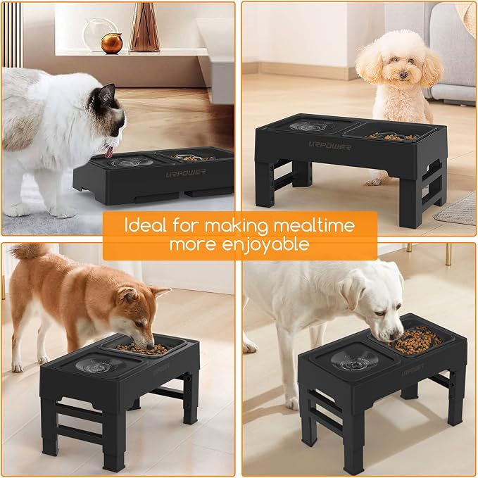 URPOWER 2-in-1 Elevated Slow Feeder Dog Bowls with No-Spill Water Bowl | 4 Height-Adjustable Raised Dog Bowls, Non-Slip Food and Water Bowls with Stand for Small, Medium, Large Dogs, Cats and Pets - Image 7