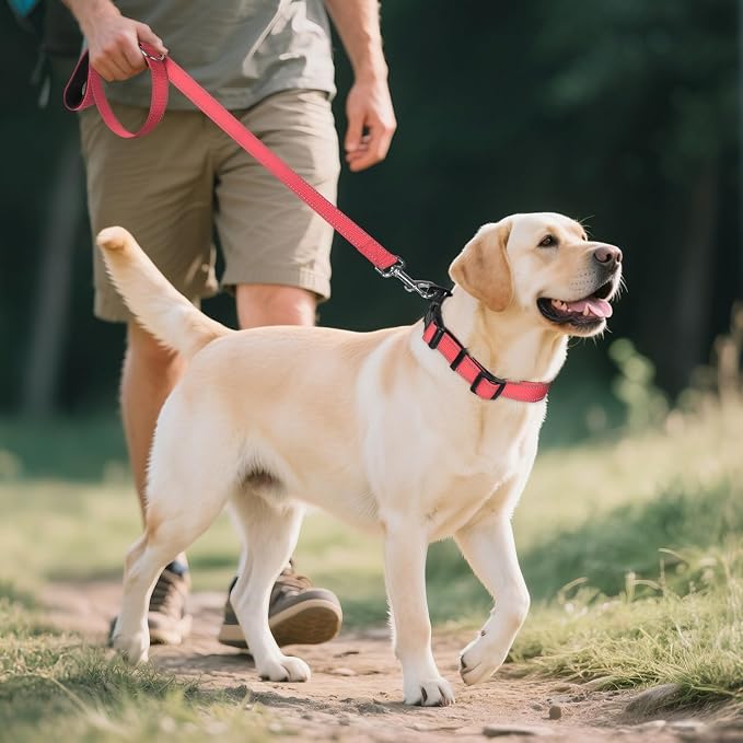 Joytale Reflective Dog Collar, Adjustable Neoprene Padded, Neon Pink L | Breathable Nylon for Large Dogs, No Chafing on Walks and Outdoor Hikes, Tear-Resistant Webbing, Metal D-Ring, Night Safety - Image 6