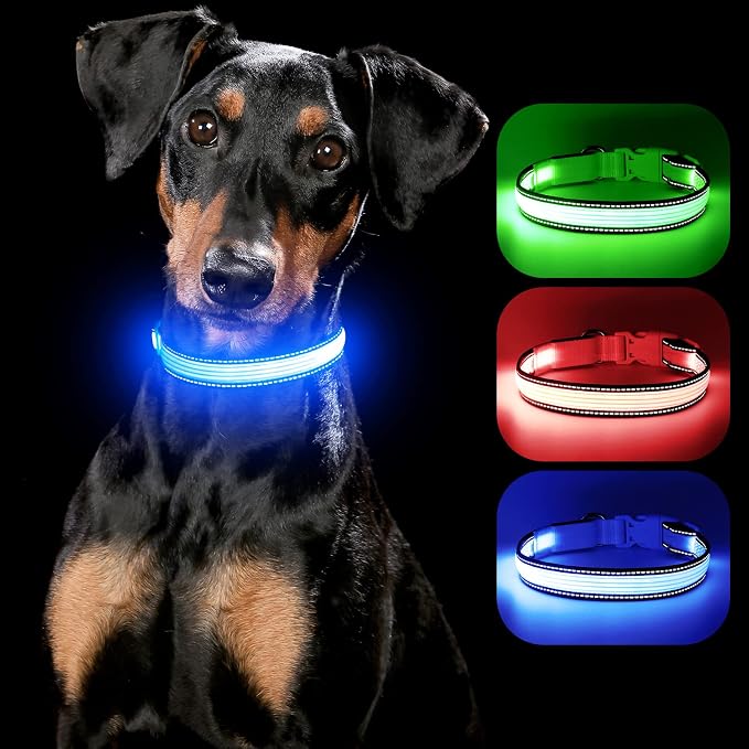 LED Dog Collar, Dog Light Up Collar,for Night Walking (Small, Blue-2) | Full Adjustable,Waterproof,Nylon,Soft,Super Bright Light Collars for Small Medium and Large Dogs,USB C to Charge - Image 9