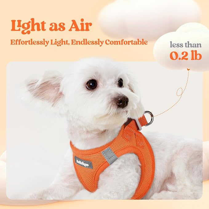 rabbitgoo Dog Harness Small Sized and Leash Set, Step-in Puppy Pet Vest | Light, Soft, Breathable Air Mesh, Easy on and Remove with Hook & Loop, Secure Reflective for Walking, Orange XXS - Image 3