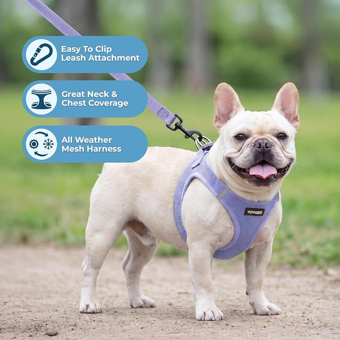 Best Pet Supplies Voyager Step-in Air All Weather Mesh Harness and Reflective Dog 5ft Leash Combo with Neoprene Handle, for Small, Medium and Large Breed Puppies - Lavender, XXS - Image 5