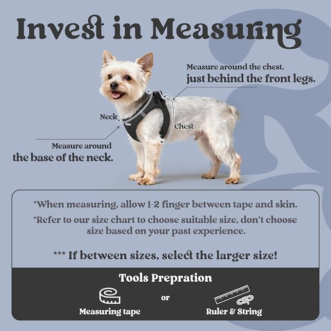 rabbitgoo Step-in Small Dog Harness, Puppy Vest for Small Medium Sized Pet | Easy Put on and off, Lightweight, Soft, Breathable Quick-Dry Air Mesh for Comfortable Secure Walking, Black L - Image 2
