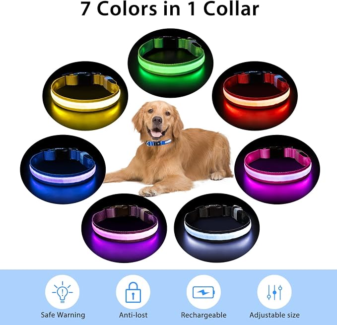 PcEoTllar Light up Dog Collar, Safe for Night Walking, Adjustable, Blue, S | Colorful RGB Light, Waterproof, For Small Medium and Large Dogs, Durable Material, USB to Charge - Image 4