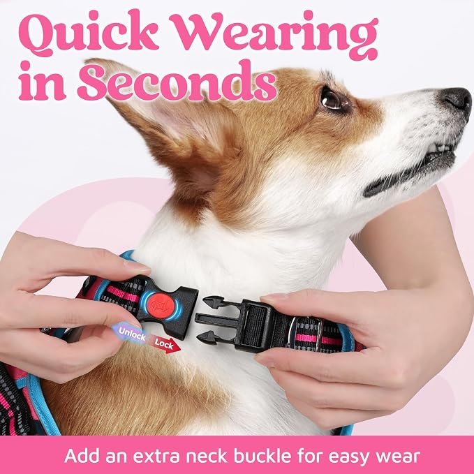 rabbitgoo Dog Harness for Large, No Pull 3 Buckles Easy On & Off | Soft Padded, Walking with Control Handle, Adjustable and Reflective, Pink & Blue, Large - Image 2