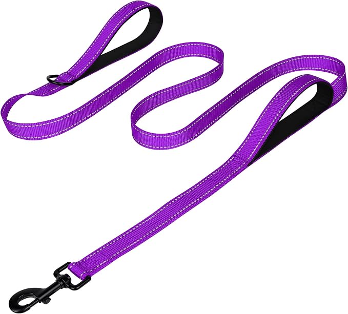 Joytale Dog Leash for Large Dogs that Pull, Double Handle, 4FT, Purple | Traffic Handle for Control, Padded Handle Reduces Hand Strain, Reflective Stitching for Night Safety, Strong Nylon Webbing by Joytale