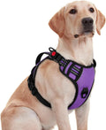 rabbitgoo Large Dog Harness, Easy Wear with 3 Buckles and Lift Handle | No Pull with Front Clip for Walking, Adjustable Soft Padded, Reflective, Easy Control, Purple, Medium by rabbitgoo