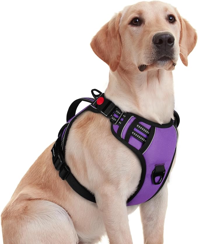rabbitgoo Large Dog Harness, Easy Wear with 3 Buckles and Lift Handle | No Pull with Front Clip for Walking, Adjustable Soft Padded, Reflective, Easy Control, Purple, Medium by rabbitgoo