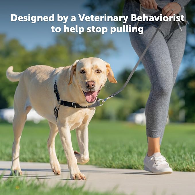 PetSafe Easy Walk Harness for Dogs - Pull-Free Walks - Patented Martingale Loop Design - Front Chest Leash Attachment - Comfort Straps - Breathable Harness Design - Medium, Charcoal/Black (Pack of 3) - Image 2