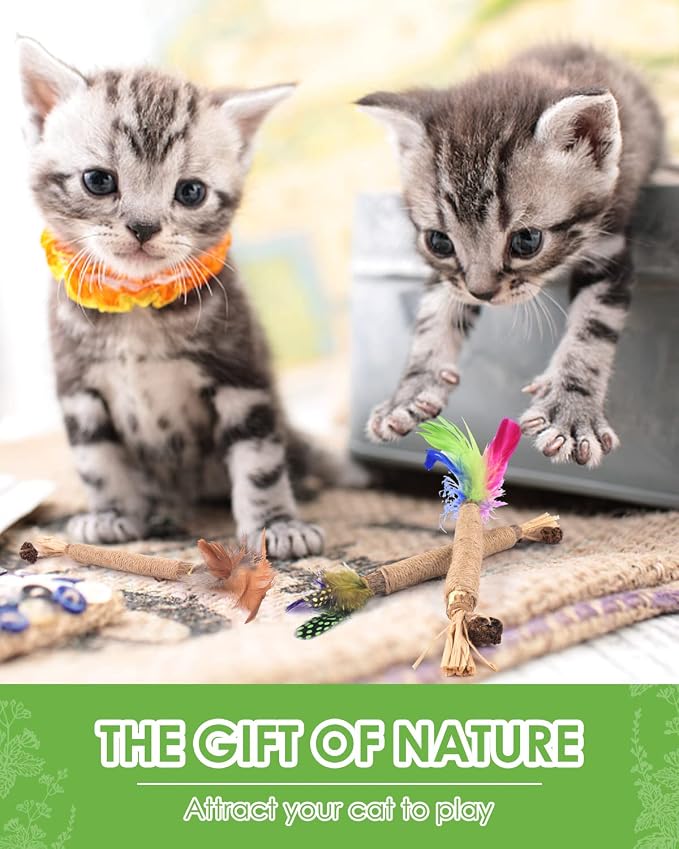 TINDTOP Silvervine Sticks for Cats with Natural Feather, Catnip Chew Toys | for Kittens Teeth Cleaning, Increase Appetite, Calm Cat Anxiety and Stress, Cat Dental Toy, 3 Pack - Image 6