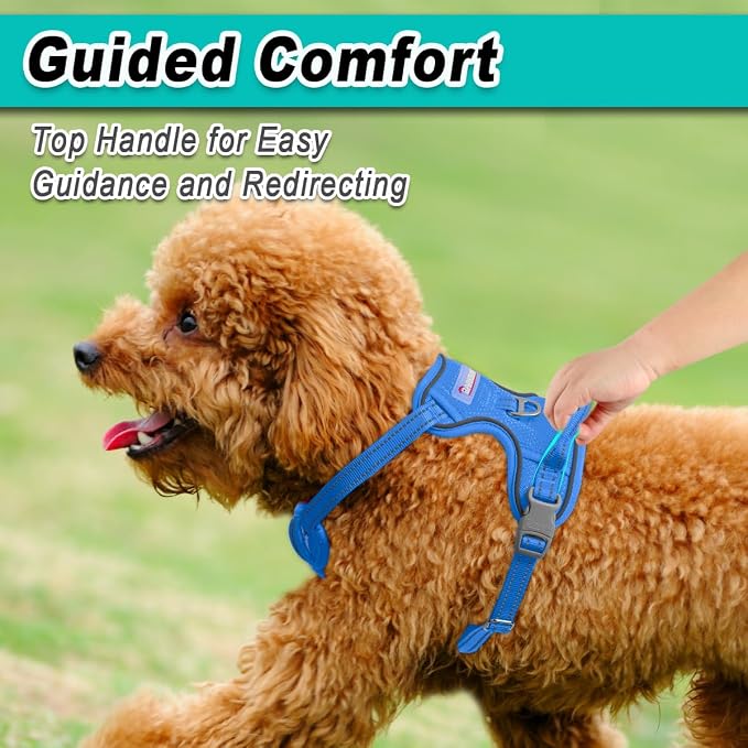 BARKBAY Dog Harness for Small Sized Dog No Pull Mesh 2 Clips Dog Vest | Control Handle,Comfort,Heavy Duty,Adjustable Reflective,Perfect for Outdoor Training, Walking,Hiking(XS,Blue Mesh) - Image 4