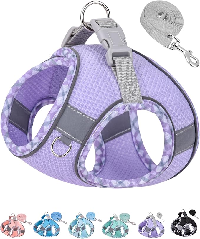 Petank Dog Harness for Small Medium Dogs No Pull, Puppy Harness and Leash Set, Step in Dog Harness for Walking, Running, Training(Purple, XS) by Petank