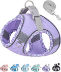 Petank Dog Harness for Small Medium Dogs No Pull, Puppy Harness and Leash Set, Step in Dog Harness for Walking, Running, Training, Small Dog Vest, Medium Dog Vest (Purple, M) by Petank