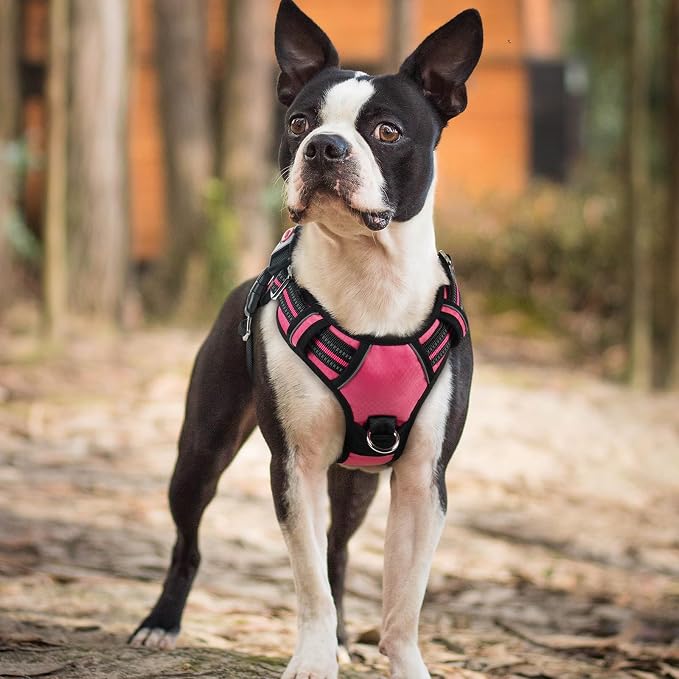 rabbitgoo Dog Harness Small Sized, No Pull 3 Buckles Easy On & Off | Soft Padded, Walking with Control Handle, Adjustable and Reflective, Pink, Small - Image 8