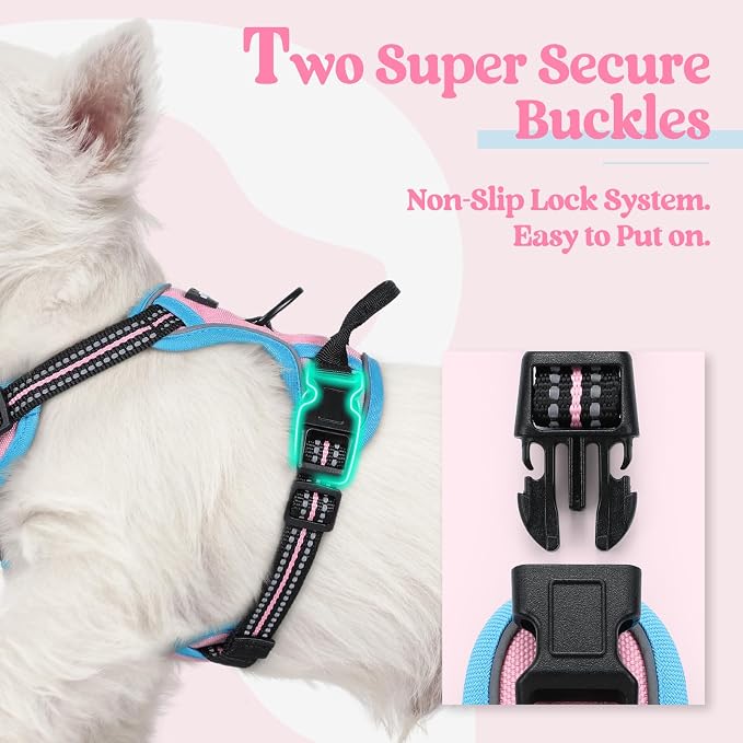 rabbitgoo Dog Harness, No Pull for Small Dogs with 2 Leash Clips, Pet Vest | No Choke with Handle, Adjustable Soft Padded, Reflective, Easy Control for Walking, Pink & Blue, X-Small - Image 3