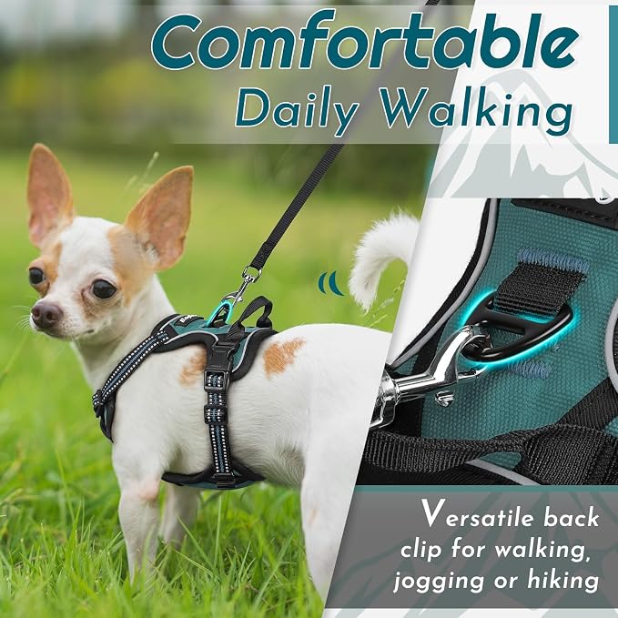 Eagloo Dog Harness for Small Dogs, No Pull Pet Vest with 2 Leash Clips | No Choke with Handle, Adjustable Comfort Fit, Reflective Strips, Easy Walking Control, Dark Green, X-Small - Image 4