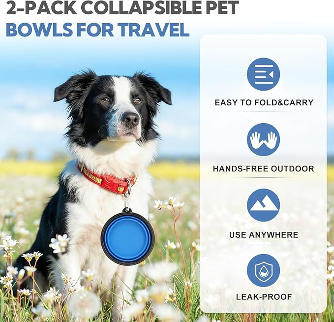 Collapsible Dog Bowl Large 34oz, Travel Dog Water Bowl Portable | 2 Pack, 2 Carabiner Clips, Silicone Travel Dog Bowl Foldable, Feeding Watering Dish Bowl, for Parking, Walking, Camping - Image 8