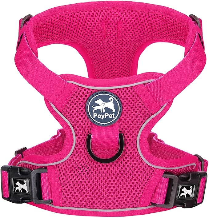 PoyPet Mesh Dog Harness, Reflective Breathable Puppy Vest for Large Dogs | Lightweight, Soft Air Mesh, Back D-ring, Adjustable, Comfortable, Double Padded, No Choke, for Daily Walking, L, Fuchsia by PoyPet