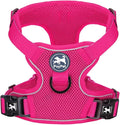 PoyPet Mesh Dog Harness, Reflective Breathable Puppy Vest for Medium Dogs | Lightweight, Soft Air Mesh, Back D-ring, Adjustable, Comfortable, Double Padded, No Choke, for Daily Walking, M, Fuchsia by PoyPet