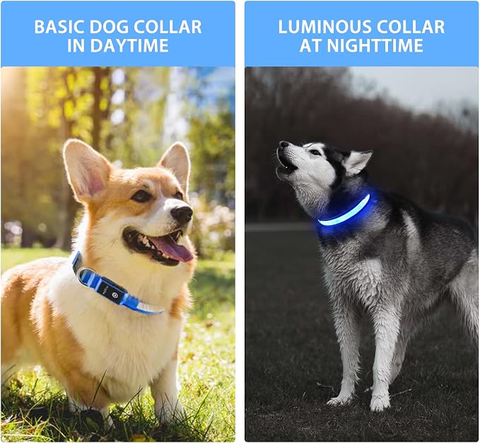 PcEoTllar Light up Dog Collar, Safe for Night Walking, Adjustable, Blue, S | Colorful RGB Light, Waterproof, For Small Medium and Large Dogs, Durable Material, USB to Charge - Image 2