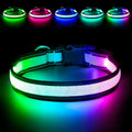 Flashseen Multicolor LED Light Up Dog Collar, RGB 9-Mode, USB Rechargable | Super Bright Lighted Dog Collar, Adjustable Soft Mesh, Glow Collar for Dog Night Walking (White, M) by Flashseen