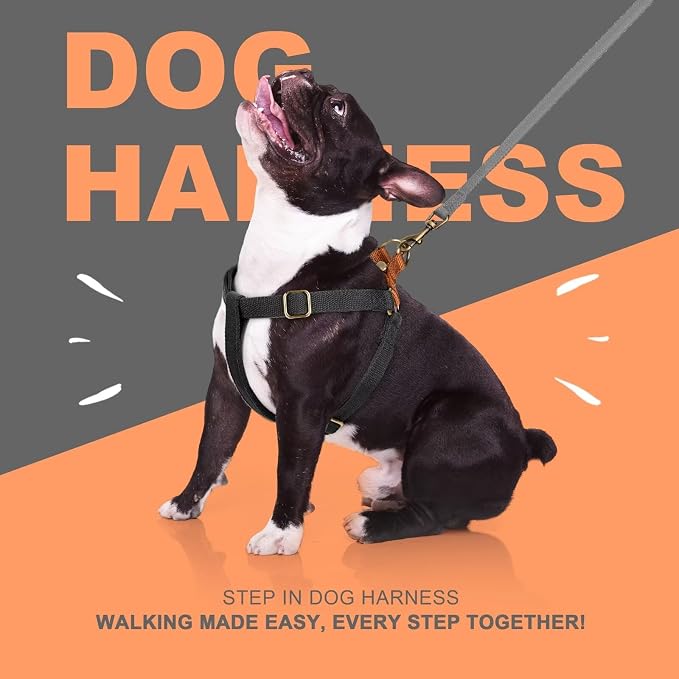 Step in Dog Harnes for Small Dogs, Black, S, Chest 14-22" | Freedom Nylon Dog Halter Vests with Metal Buckles, Easy On and Off, Adjustable Straps, Escape-Proof, Easy Walking Training - Image 5