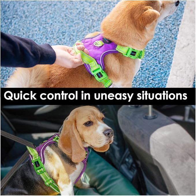 No Pull Dog Harness, Unique Colors Reflective Adjustable Dog Vest, with Soft Training Handle Metal Clips for Small Medium Large Dogs (Purple Base & Green Straps,L) | with Soft Training Handle Metal Clips for Small Medium Large Dogs (Purple Base & Green... - Image 4
