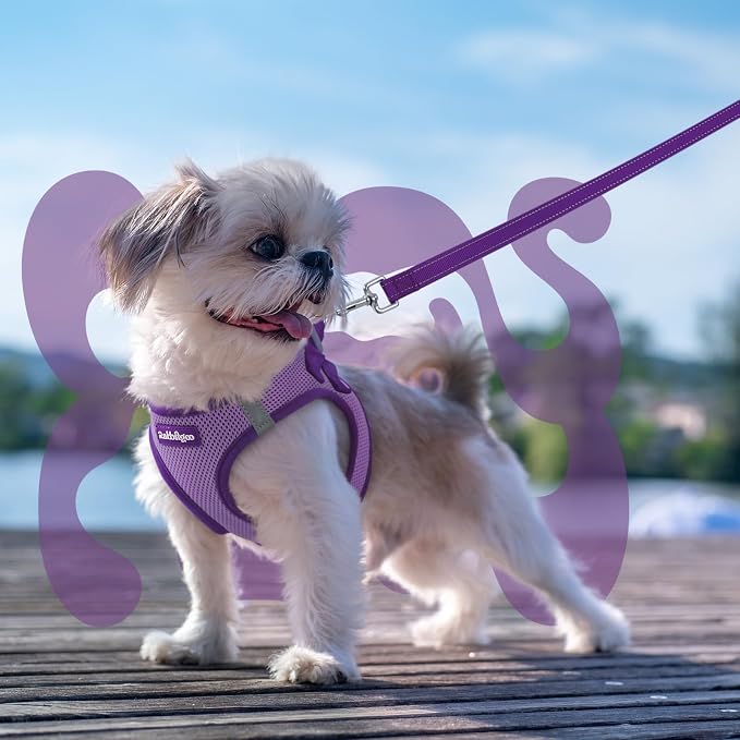 rabbitgoo Dog Harness Small Sized and Leash Set, Step in Soft Vest | Breathable Mesh, Easy Wear with Hook & Loop, Light and Reflective for Walking, Multi-colored, Light Purple & Purple, XS - Image 8