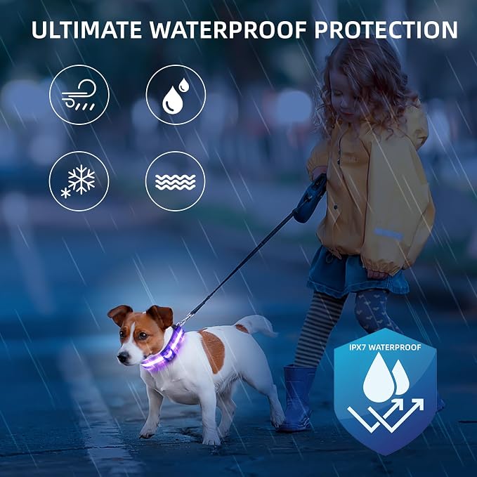 Super Bright LED Dog Collar, Waterproof Light up Collars(Purple, Medium) | Lighted Dog Collar with Adjustable Fit, Soft Nylon Comfort, USB-C Rechargeable, Glow in the Dark Visibility for Night Walks - Image 4