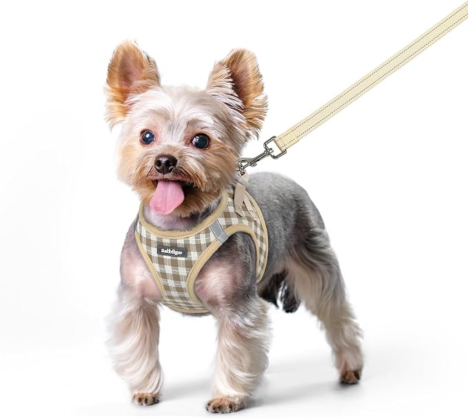 rabbitgoo Dog Harness Small Sized and Leash Set, Step-in Puppy Pet Vest | Light, Soft, Breathable Air Mesh, Easy on and Remove with Hook & Loop, Secure Reflective for Walking, Beige Check XS by rabbitgoo